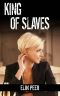 [The Slave Series 05] • King of Slaves (Jenna's Story)